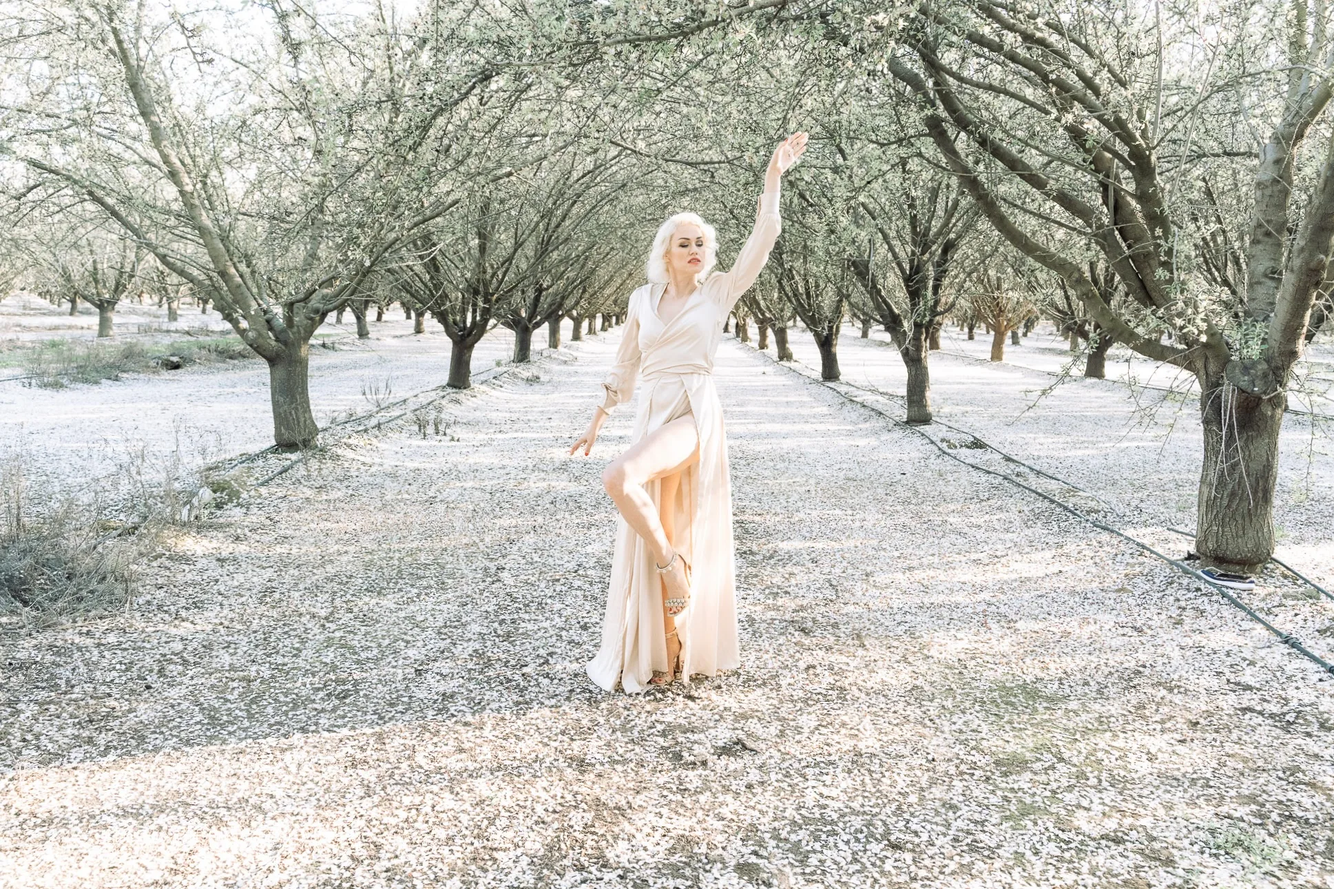 Other photography - Custom photography for any special occasion